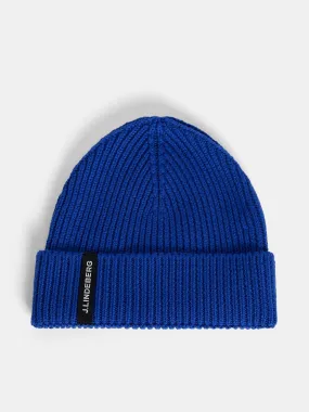 Juan Merino Beanie / Surf the Web